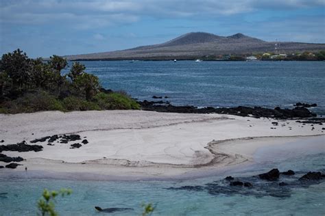 Floreana Island Galapagos
