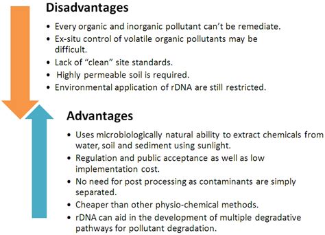 Recent Strategies for Bioremediation of Emerging Pollutants: A Review ...