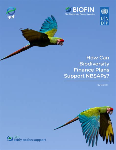 How Can Biodiversity Finance Plans Support NBSAPs? | BIOFIN