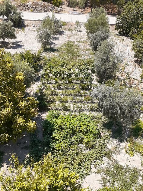 SAPMAZ PANSIYON (Turkey/Karahayit) - Lodge Reviews & Photos - Tripadvisor