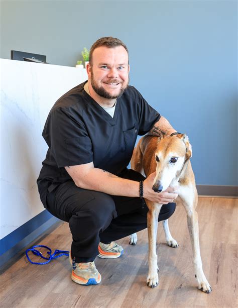 New Patients Welcomed | Veterinarian Near Me | Animal Hospital In Gallatin TN