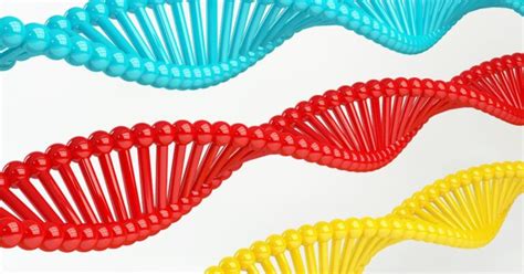 Blast Biotechnology Example 的图像结果