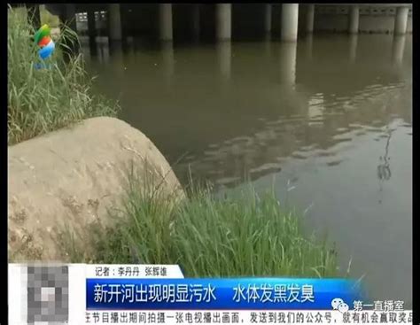 惠州新开河越来越脏，是谁在往河里排污水？__凤凰网