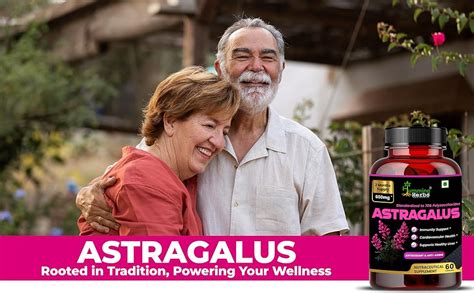 Buy Humming Herbs Astragalus Root Extract Capsules - Supports Immune ...