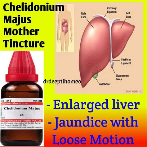 mother tincture homeopathic medicine uses