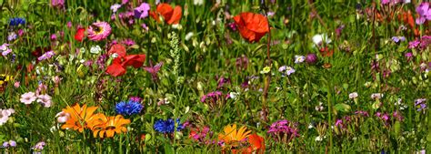 Eberhardt-Stevenson Funeral Home & Crematory | Clintonville WI funeral ...