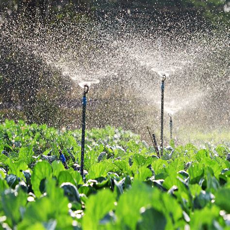 What Is Tube Well Irrigation at Francis Seal blog