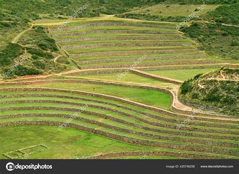 Inca Agriculture And Farming