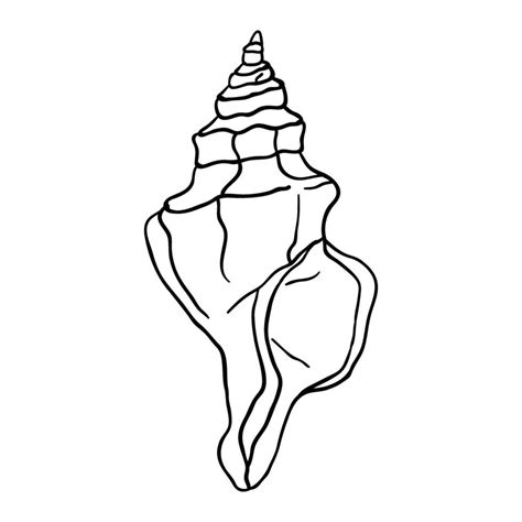 Image result for Shell Drawing Sheet