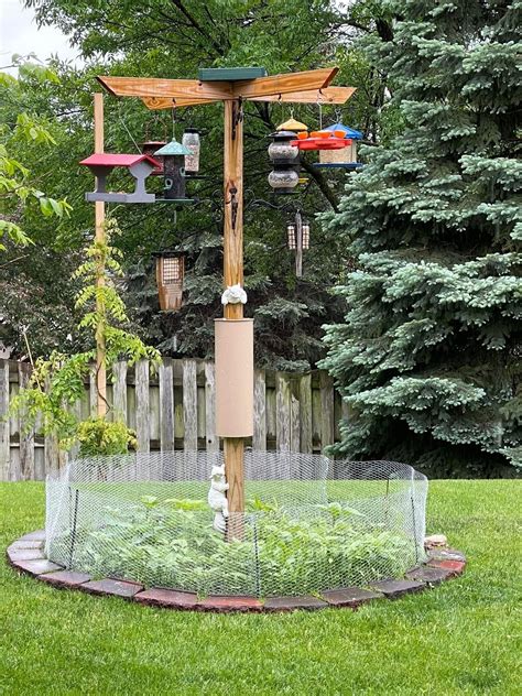 Bird Feeder in a Beautiful Garden