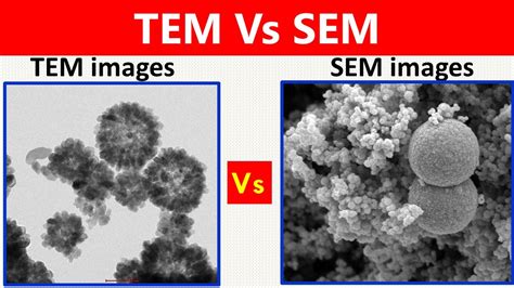 The 2 Main Electron Microscopy Techniques Explained