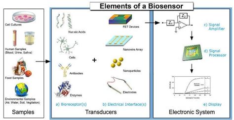 Image result for How Does a Biosensor Work