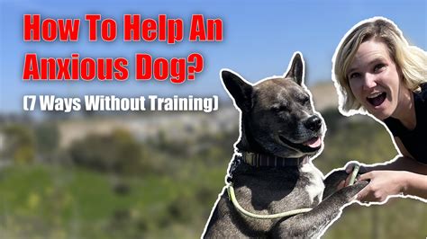 How Much Benadryl Can A 50 Lb Dog Take