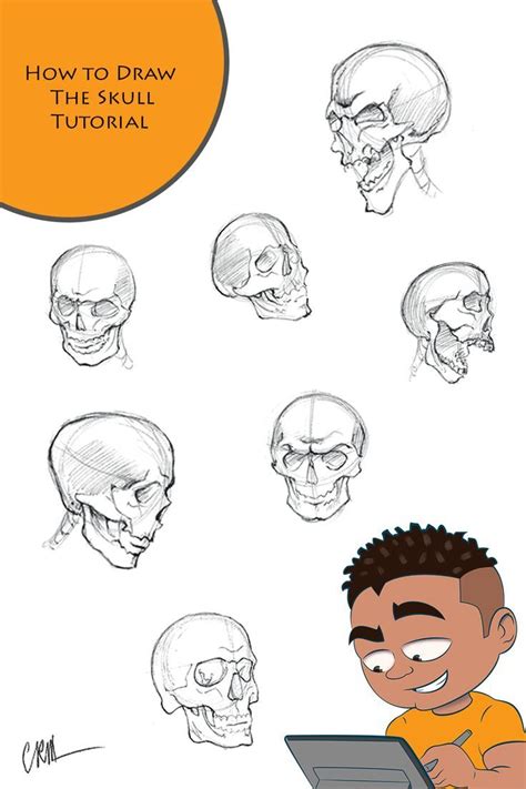 Image result for Skull Drawing Tutorial