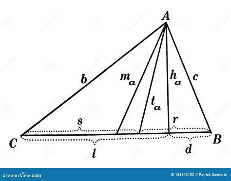 Parts of a Triangle Vintage Illustration Stock Vector - Illustration of ...