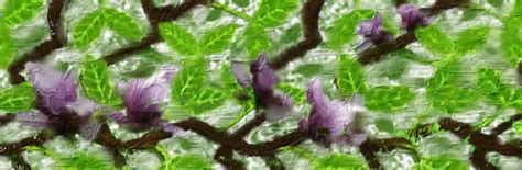 Corel Painter Help | Using patterns as clone sources