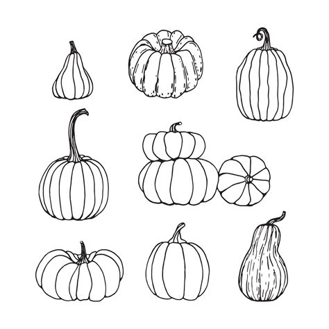 Black And White Pumpkin Drawing