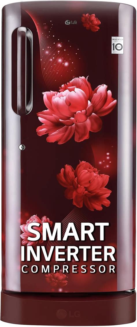 LG 224 L 4 Star Direct-Cool Smart Inverter Compressor Single-Door ...