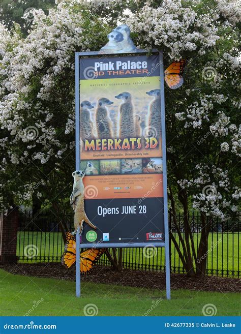 Street Sign at the Memphis Pink Palace Museum Editorial Image - Image ...