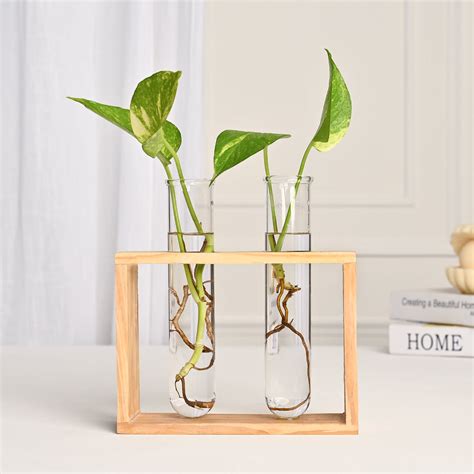 Rectangular Test Tube Vase – DecorTwist