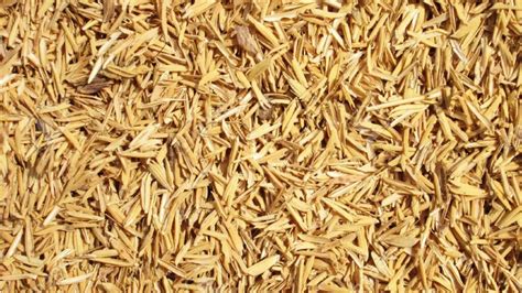 Turning Rice Husk Ash To Black Gold | Mycitylinks