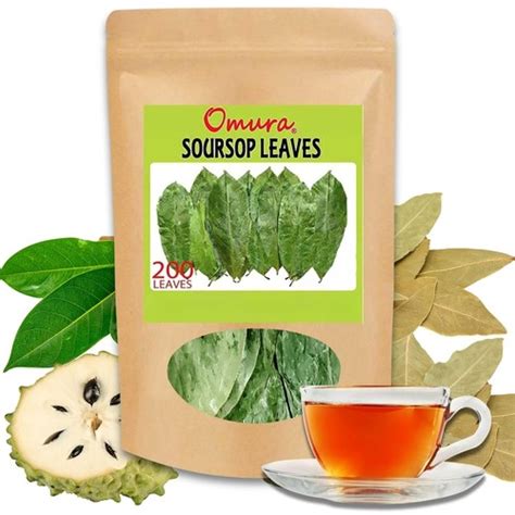 Omura Dried Soursop Leaves - 100% Organic Soursop India | Ubuy