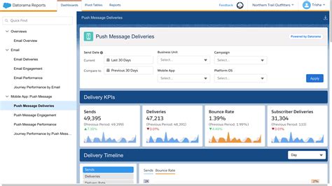 Salesforce REST API 的图像结果