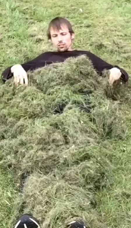 Image result for Dim Tree Armor