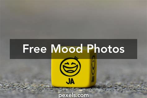Free stock photos of mood · Pexels