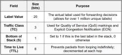 MPLS - Network and Security PDF Download