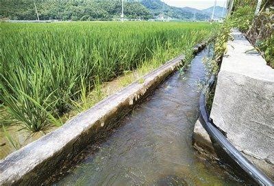 绍兴农村正在发生着巨大的变化 这些乡村即将腾飞|示范村|绍兴|乡村_新浪新闻