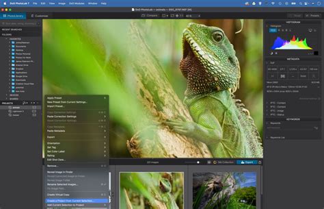 Image result for Do Photo Lab Elite Tutorials