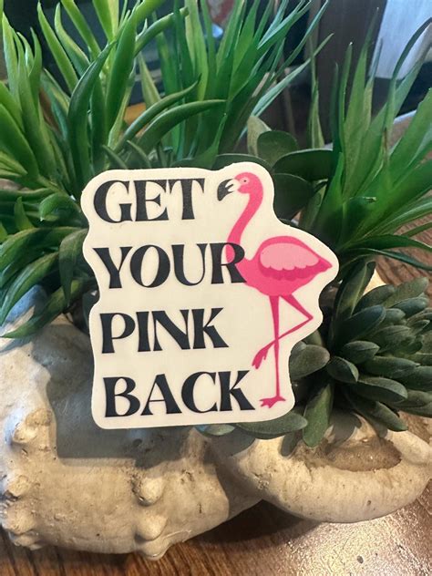Get Your Pink Back Vinyl Sticker - Etsy