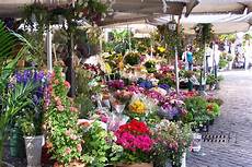 festival dei fiori co dei fiori market the quot field of flowers quot rome festival dei fiori co dei fiori market the quot field of flowers quot rome