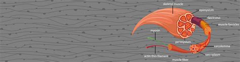 Image result for Null JavaScript Coding