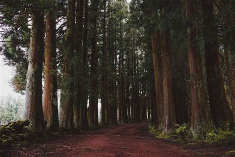 The Best Hikes Near San Francisco Bay - City Experiences™