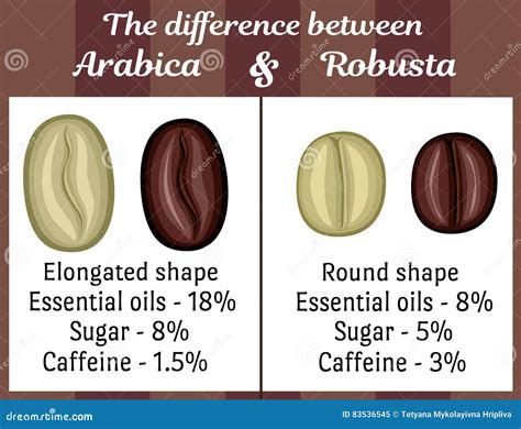 The Difference between Arabica and Robusta Stock Vector - Illustration of graphic, aroma: 83536545