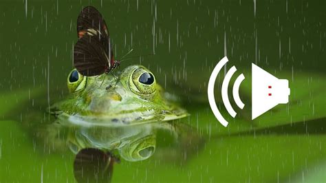 Image result for Sound of Spring