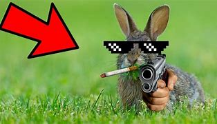 Image result for Goofy Ahh Easter Bunny