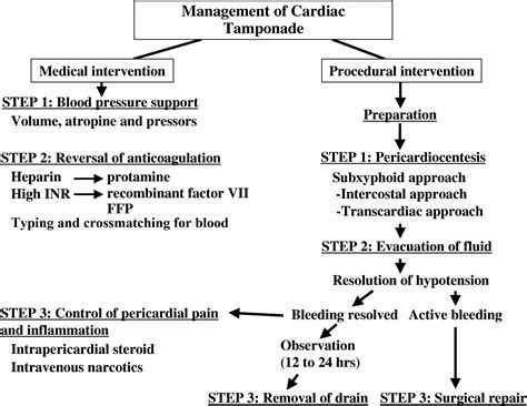 How to diagnose and treat cardiac tamponade in the electrophysiology ...