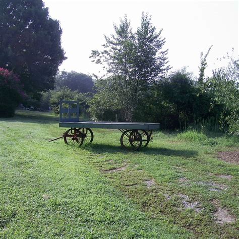 Berry Patch Farm (Woodstock) - 2022 Alles wat u moet weten VOORDAT je ...