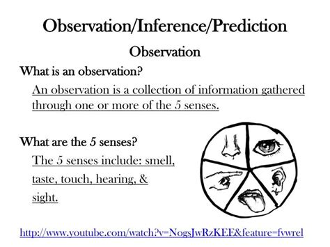 Inference Observation 的图像结果