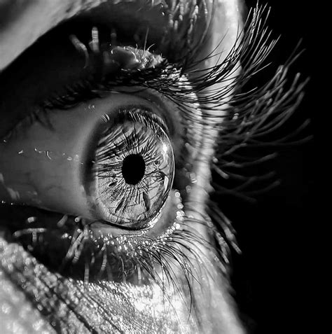 Side view detailed eye – Artofit