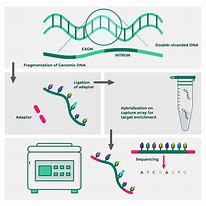 Image result for Sequencing