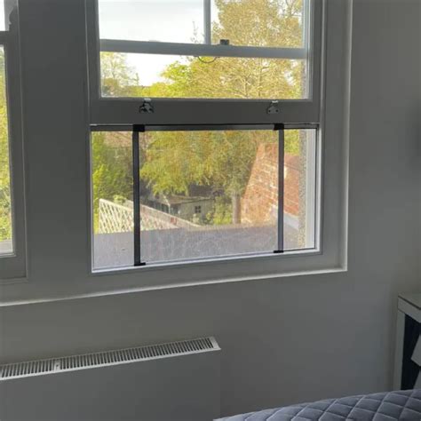 Window Fly Screen 的图像结果