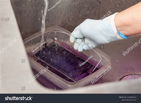 Microscope Slide 的图像结果