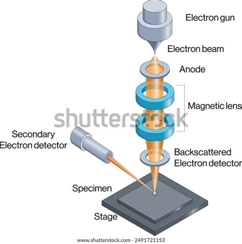 Image result for Scanning Electron Microscope Animation