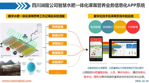 合肥市首个标准化样板水厂投入使用 - China.org.cn