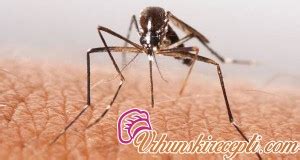 NAJBOLJE FRIZURE ZA KOSU SREDNJE DUŽINE | Vrhunski Recepti