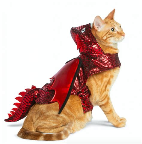 35 Cat Halloween Costumes — Funny Halloween Costumes for Cats - Parade Pets
